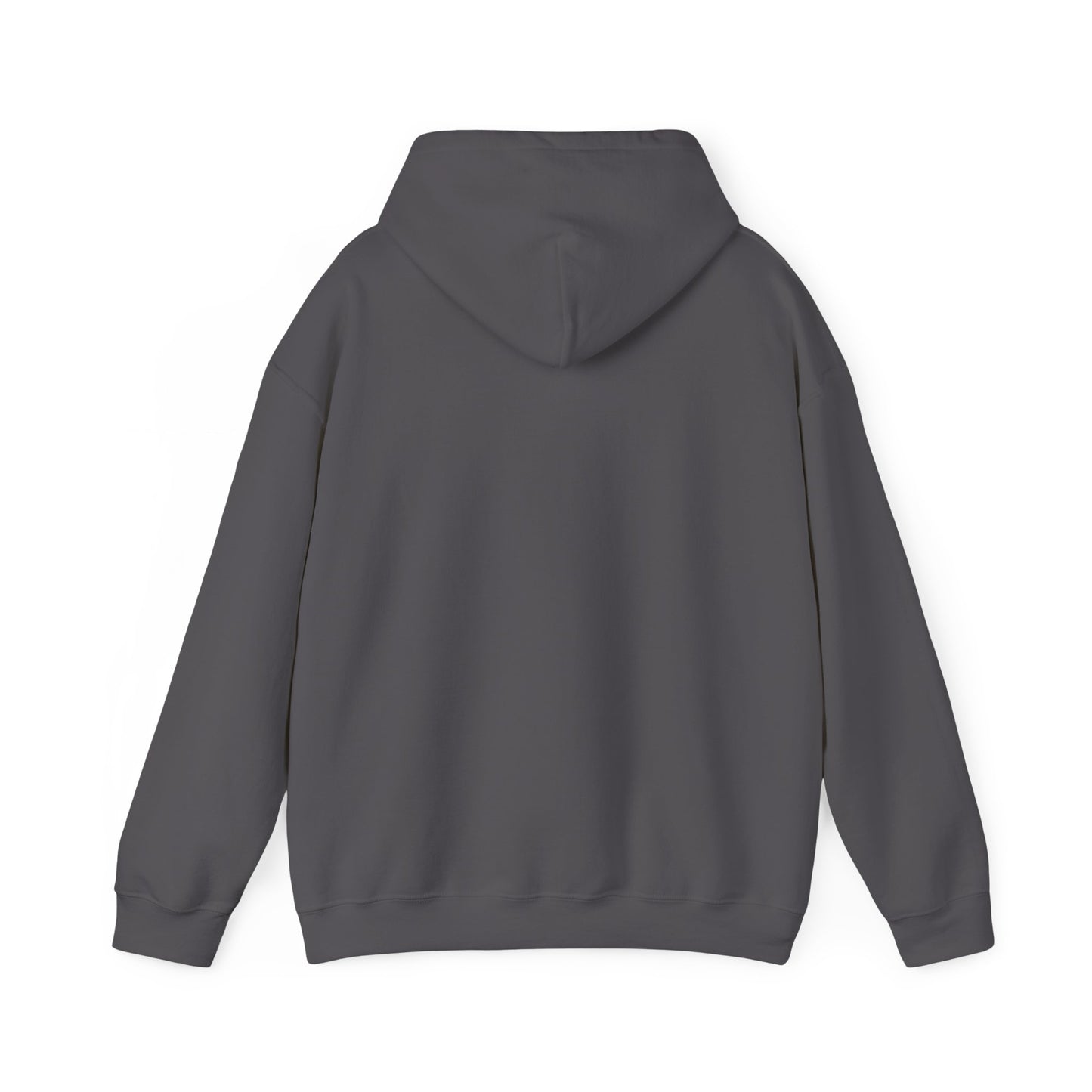 Lightgliders Made to Shine — Hooded Sweatshirt — Unisex Heavy Blend™