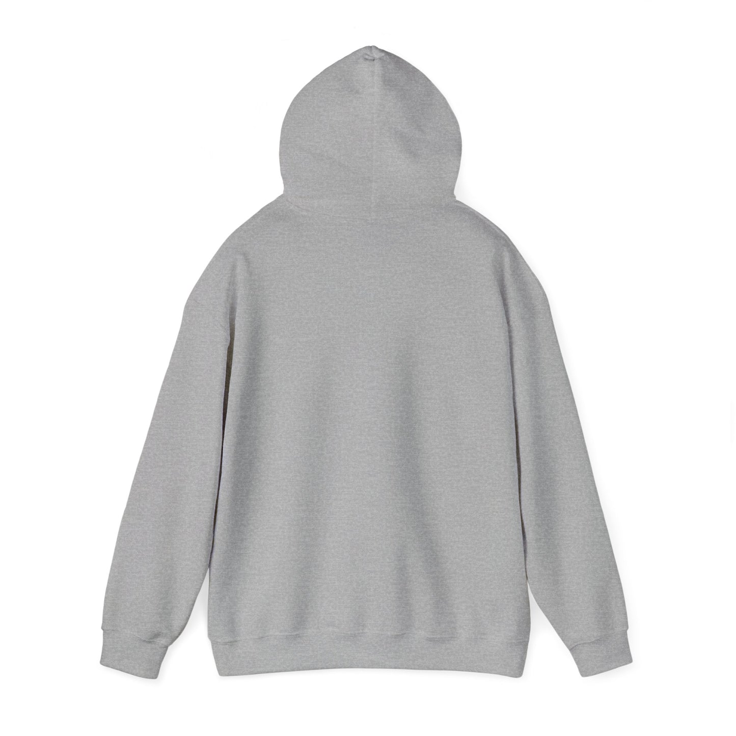 Lightgliders Made to Shine — Hooded Sweatshirt — Unisex Heavy Blend™